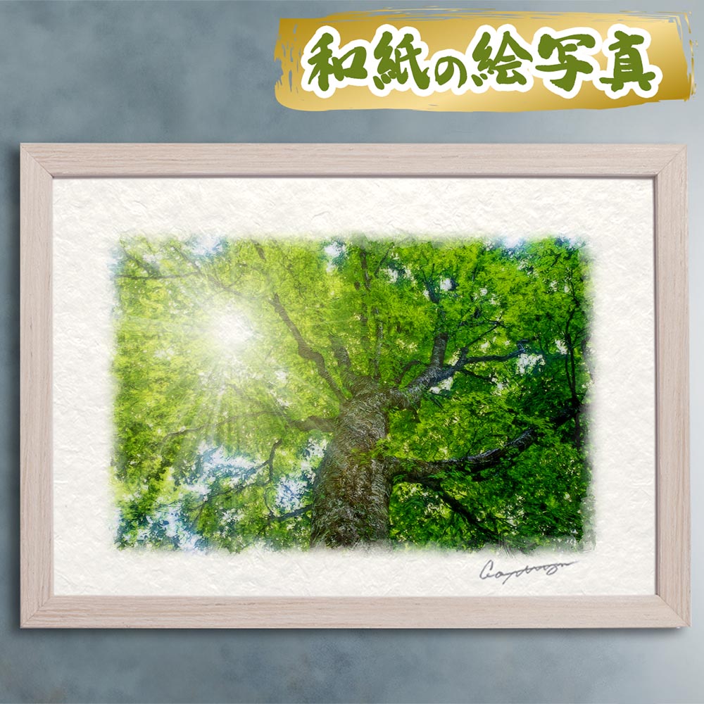 風水 玄関 絵画 絵 インテリア アートパネル 風景画 木 森 夏 緑 和紙