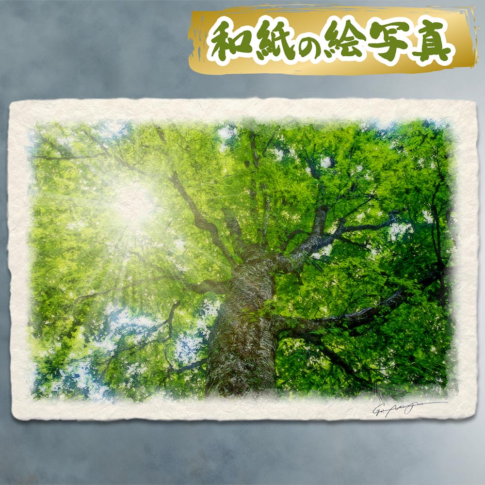 風水 玄関 絵画 絵 インテリア アートパネル 風景画 木 森 夏 緑 和紙
