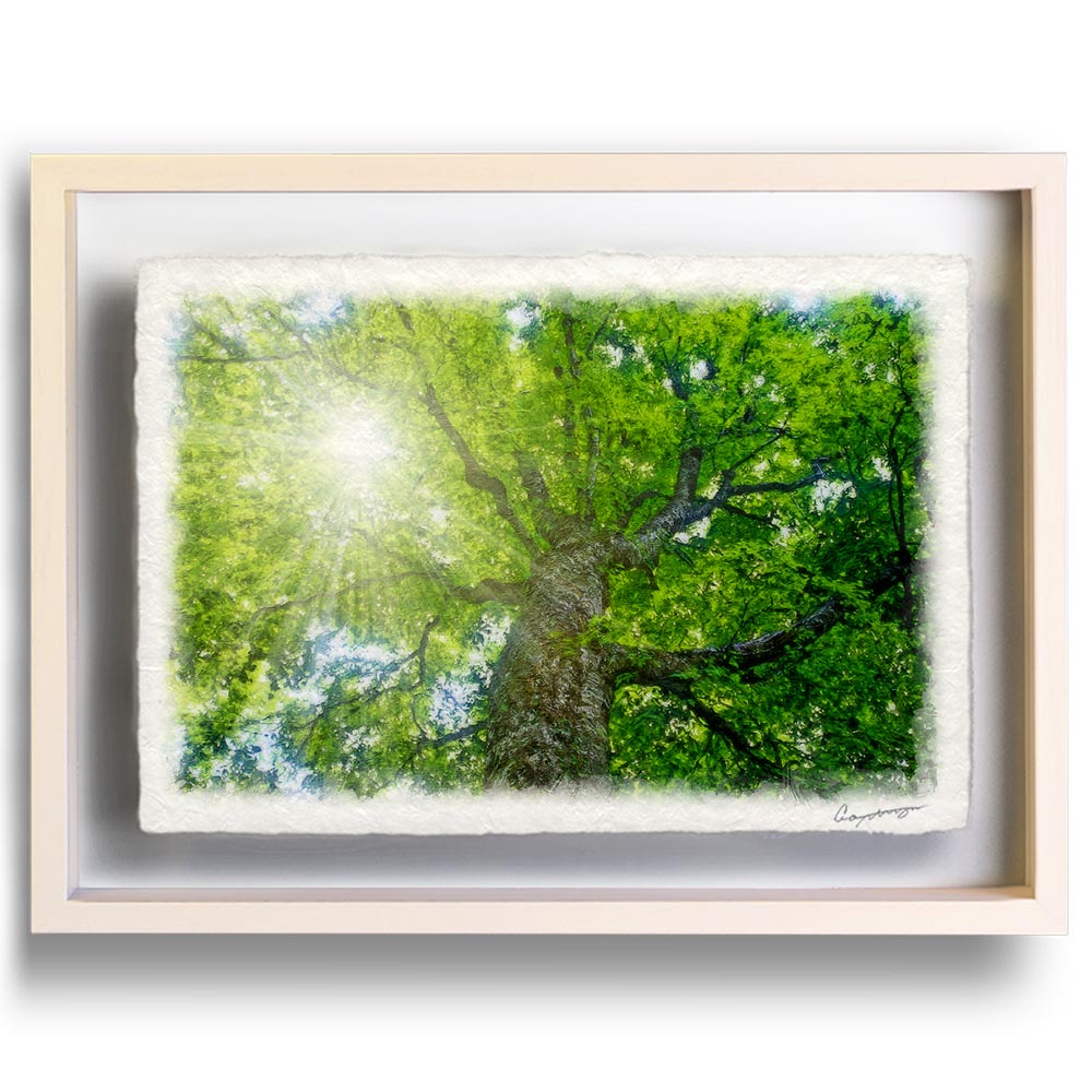 風水 玄関 絵画 絵 インテリア アートパネル 風景画 夏 緑 木 森 和紙