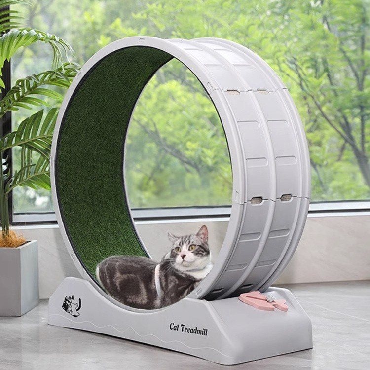 dc-wheel-abs_4.jpg