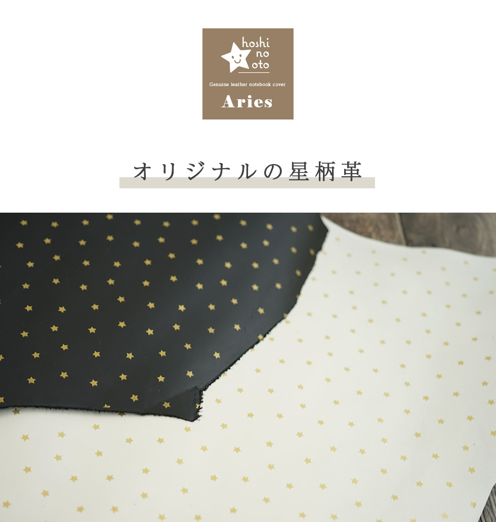 Ace セール20%OFF 特典付 正規品5年保証 エース デザインド バイ