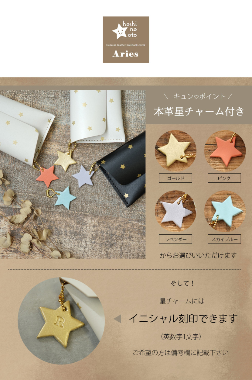 ペンケース おしゃれ 大人 革 星柄 シンプル レディース