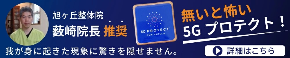 5Gプロテクト推奨