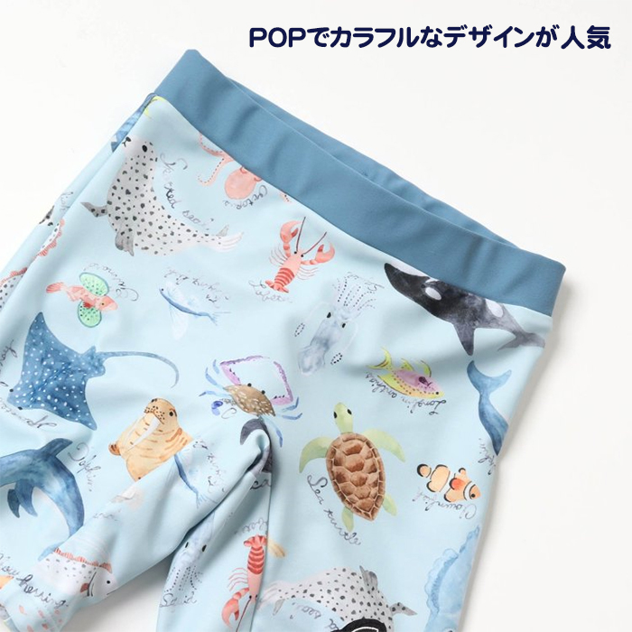 BIT'Z ビッツ 海の生き物図鑑柄 ボクサー水着 サックス キナリ 80cm