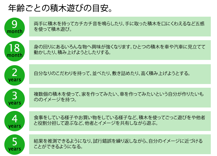 セレクタ社 ブロックス スターターセット 大 木のおもちゃ セレクタ社 ブロックス スターターセット 大 木のおもちゃ