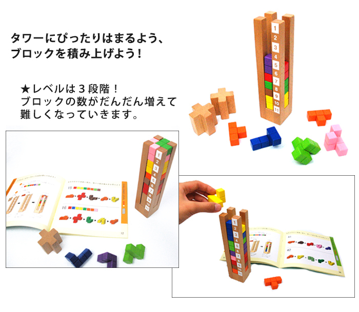エドインター 知の贈り物 育脳タワー 知育玩具 木製玩具 脳トレ