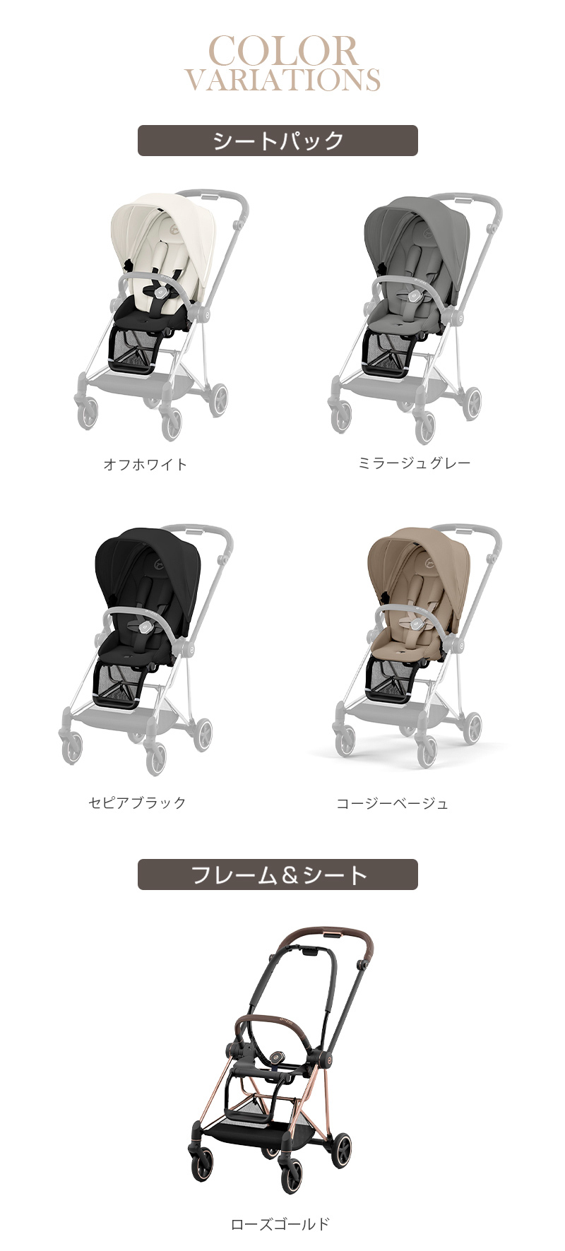 サイベックス 無料組立サービス 2年保証 ミオス フルセット