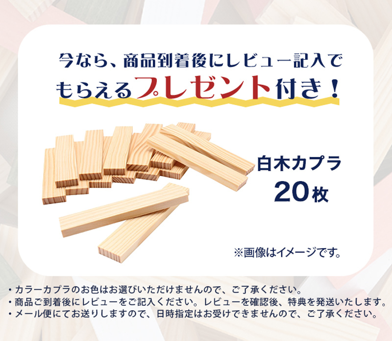 KAPLA カプラ 280 デザインブック赤1冊セット 小冊子付き 白木 積み木