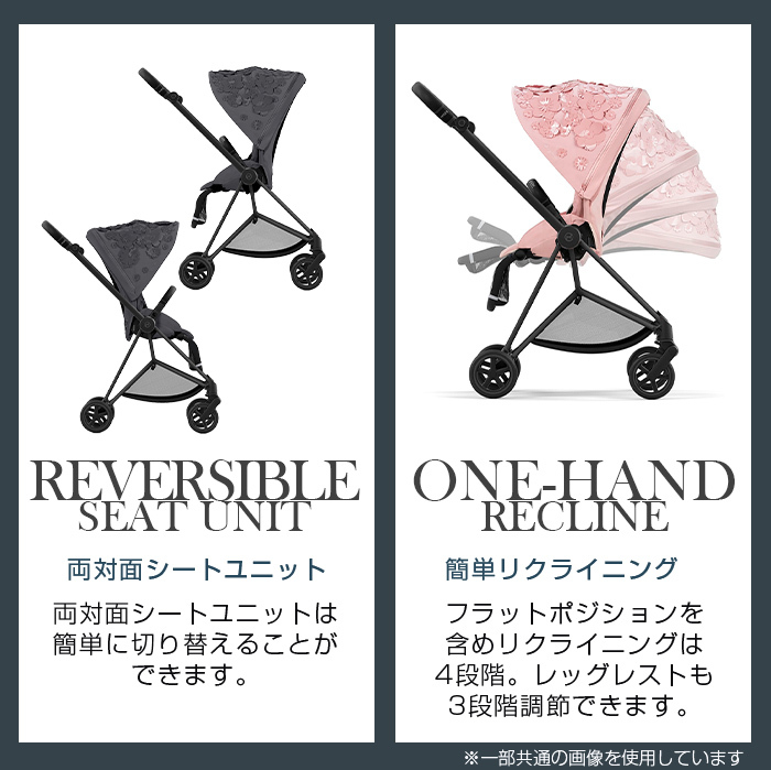 特価 サイベックス ミオス シンプリーフラワーズ フルセットフレーム