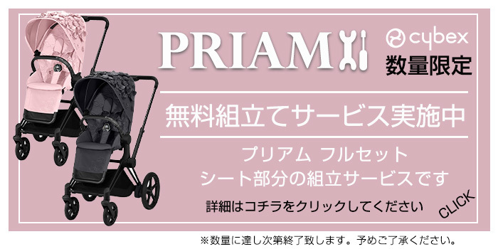 Cybex PRIAM サイベックス プリアム フルセット ローズゴールド