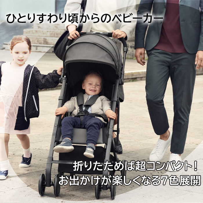 RECARO レカロ ベビーカー イージーライフ グラファイト レインカバー