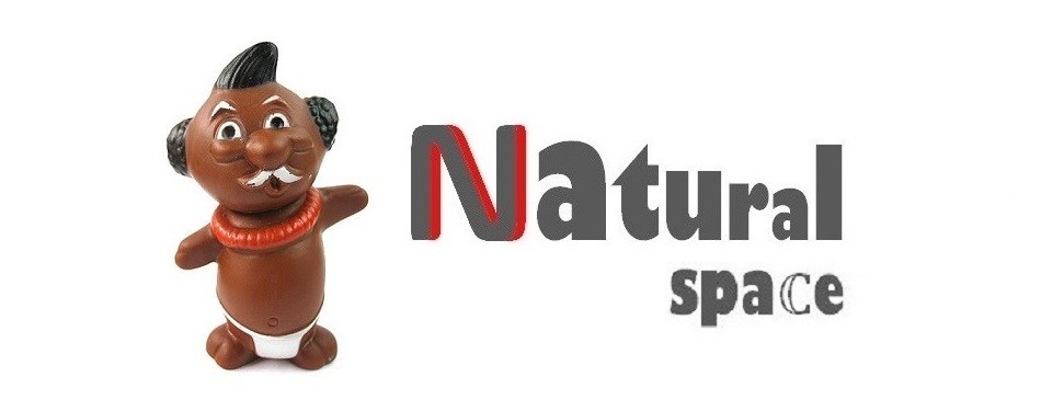 Natural Space Store