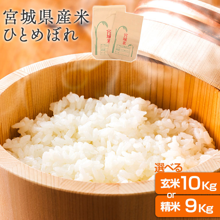 米 10kg ひとめぼれ 宮城県産 令和7年産 特別栽培米 5kg×2袋 玄米 10キロ 精米 9kg 白米 お米 栗原市 産地直送 送料無料