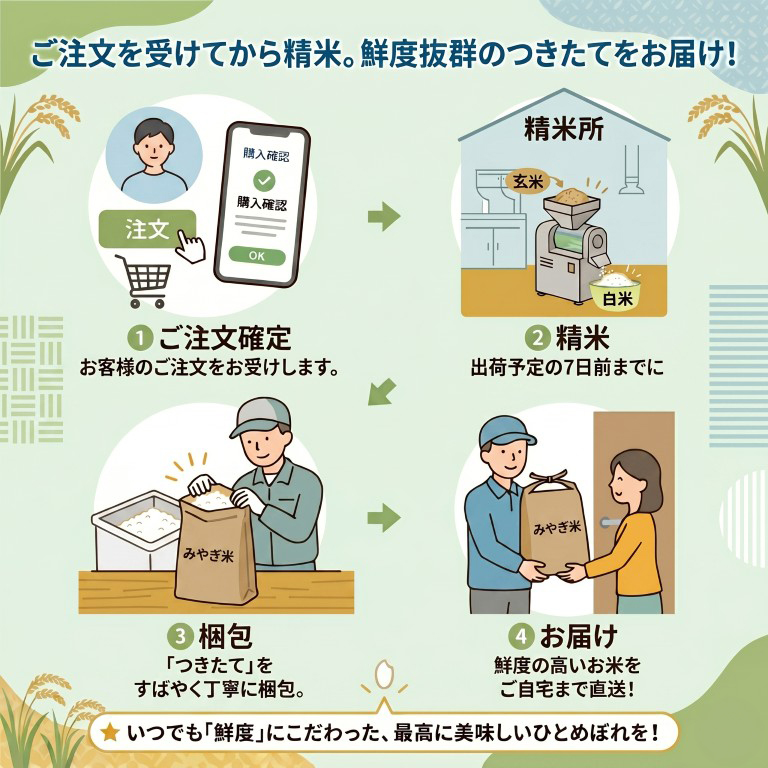 米 10kg ひとめぼれ 宮城県産 令和7年産 特別栽培米 5kg×2袋 玄米 10