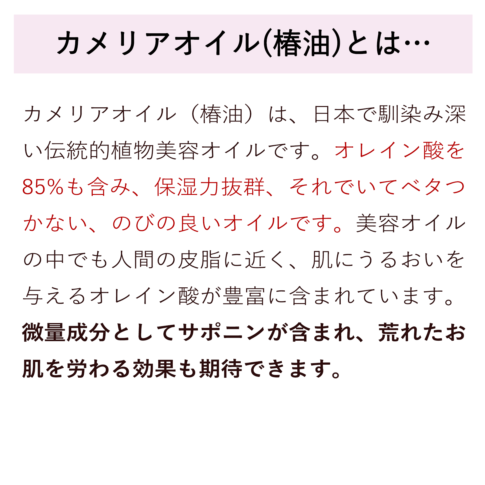カメリアオイル 椿油 500mL 遮光プラボトル キャリアオイル 美容オイル  日本産 精製 椿オイル ヘアオイル ヘアケア 無添加 ツバキ種子油 フェイスオイルの画像