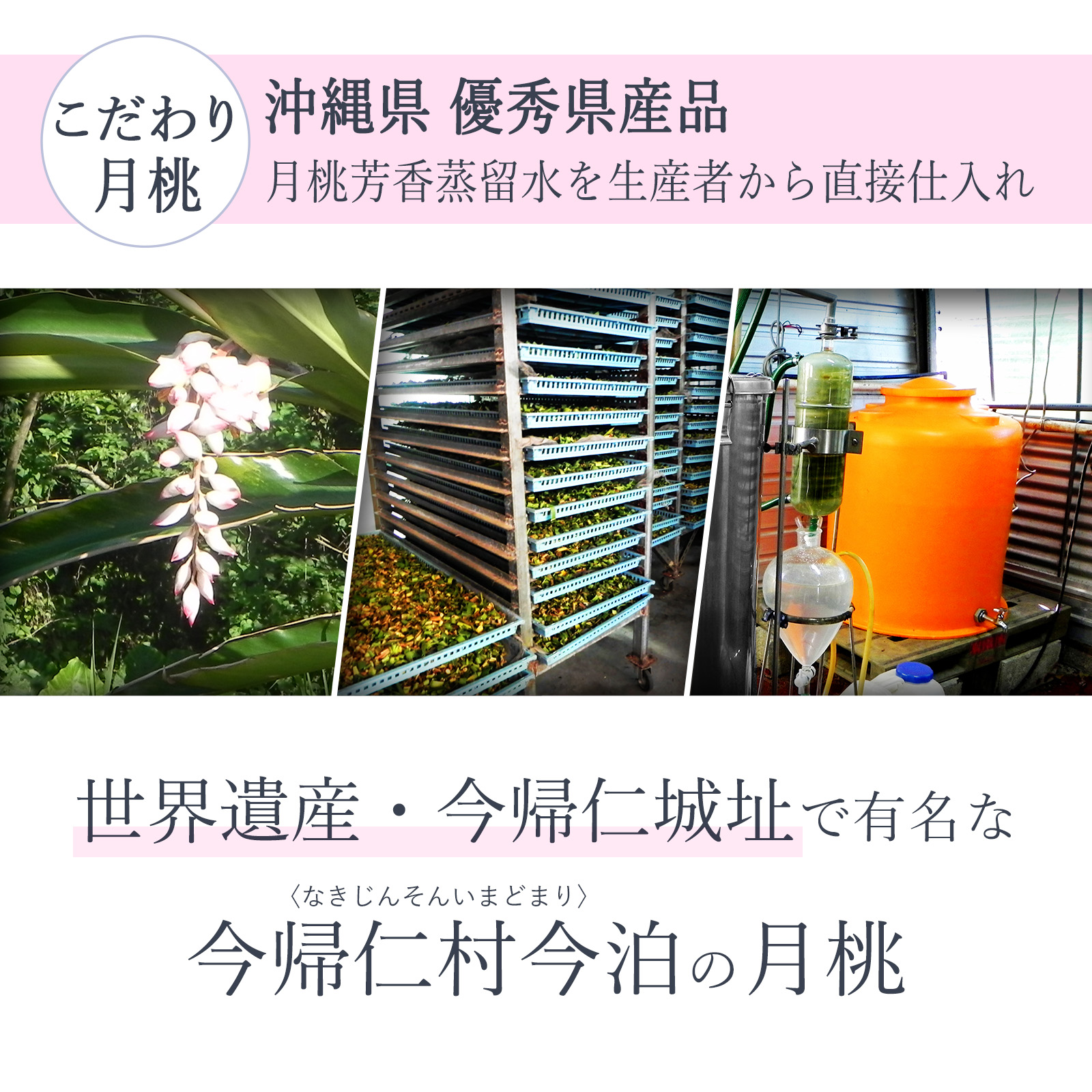 沖縄県・優秀県産品を生産者から直接仕入れ