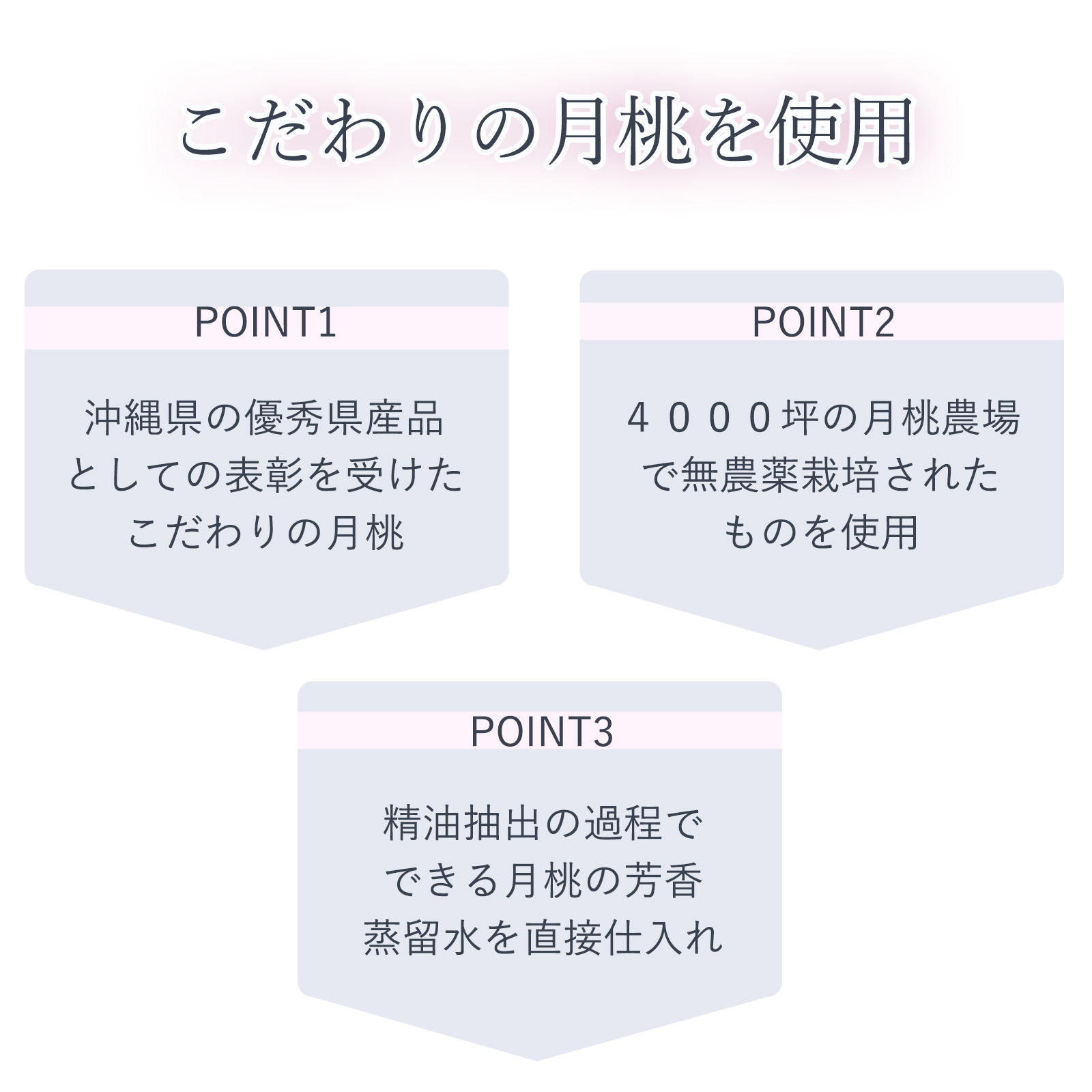 こだわりの月桃の芳香蒸留水を仕入れ