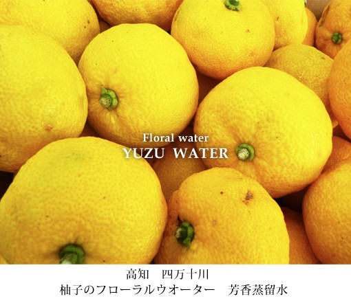 高知