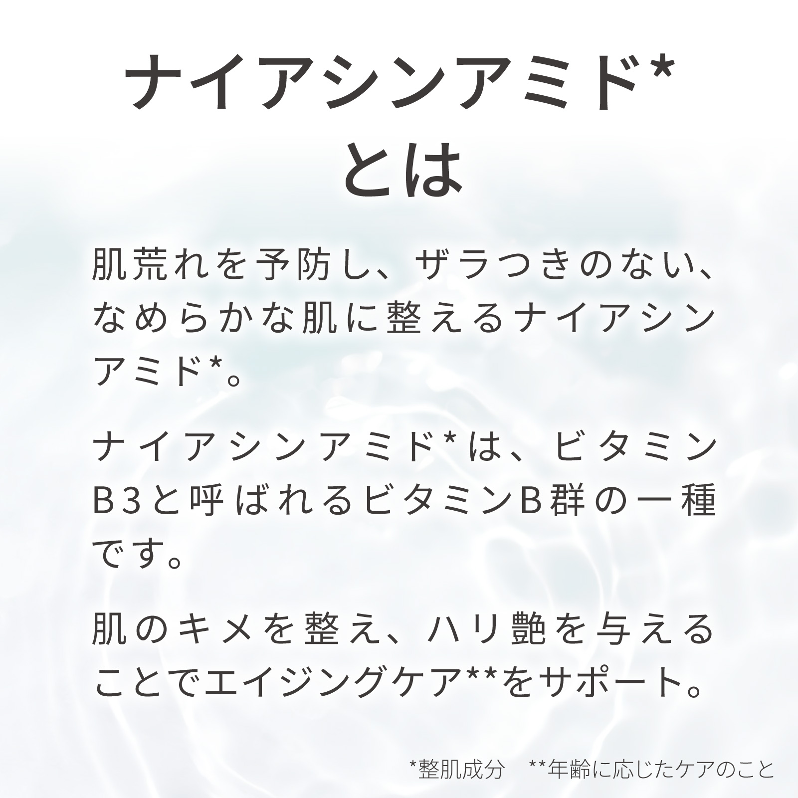 ナイアシンアミド 粉末 10g 化粧品原料 パ...の詳細画像2