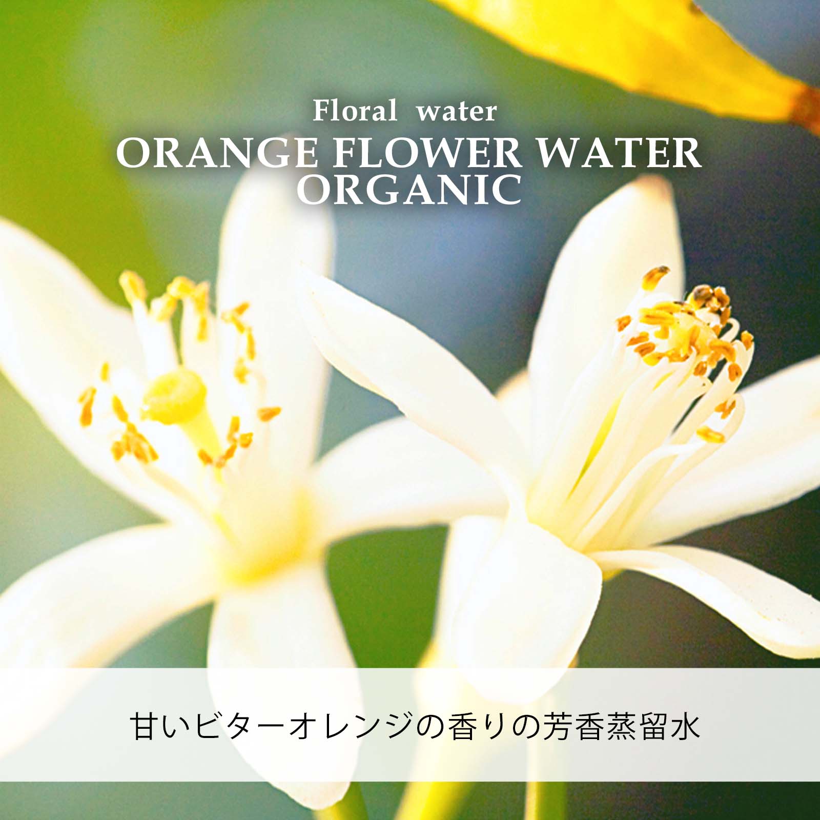 自然化粧品研究所 オレンジフラワーウォーター ネロリウォーター