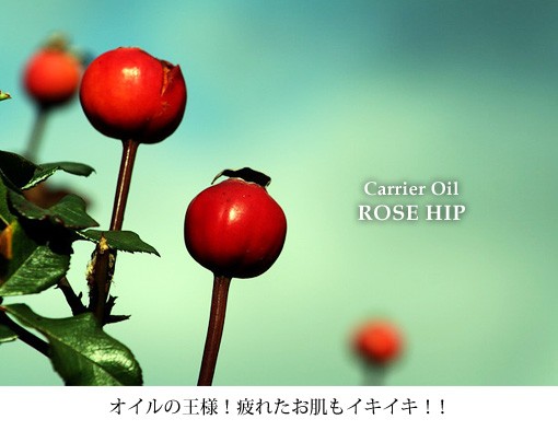 Carrier Oil ROSE HIP