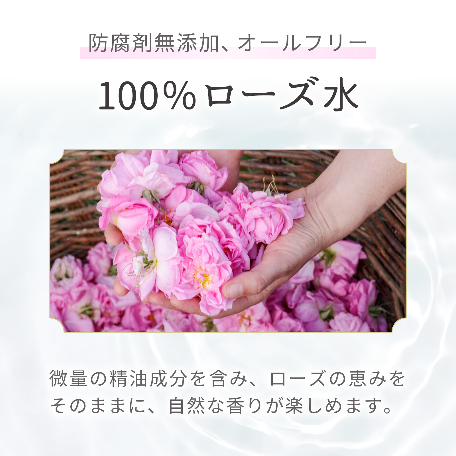 防腐剤無添加、オールフリーの100％ローズ水