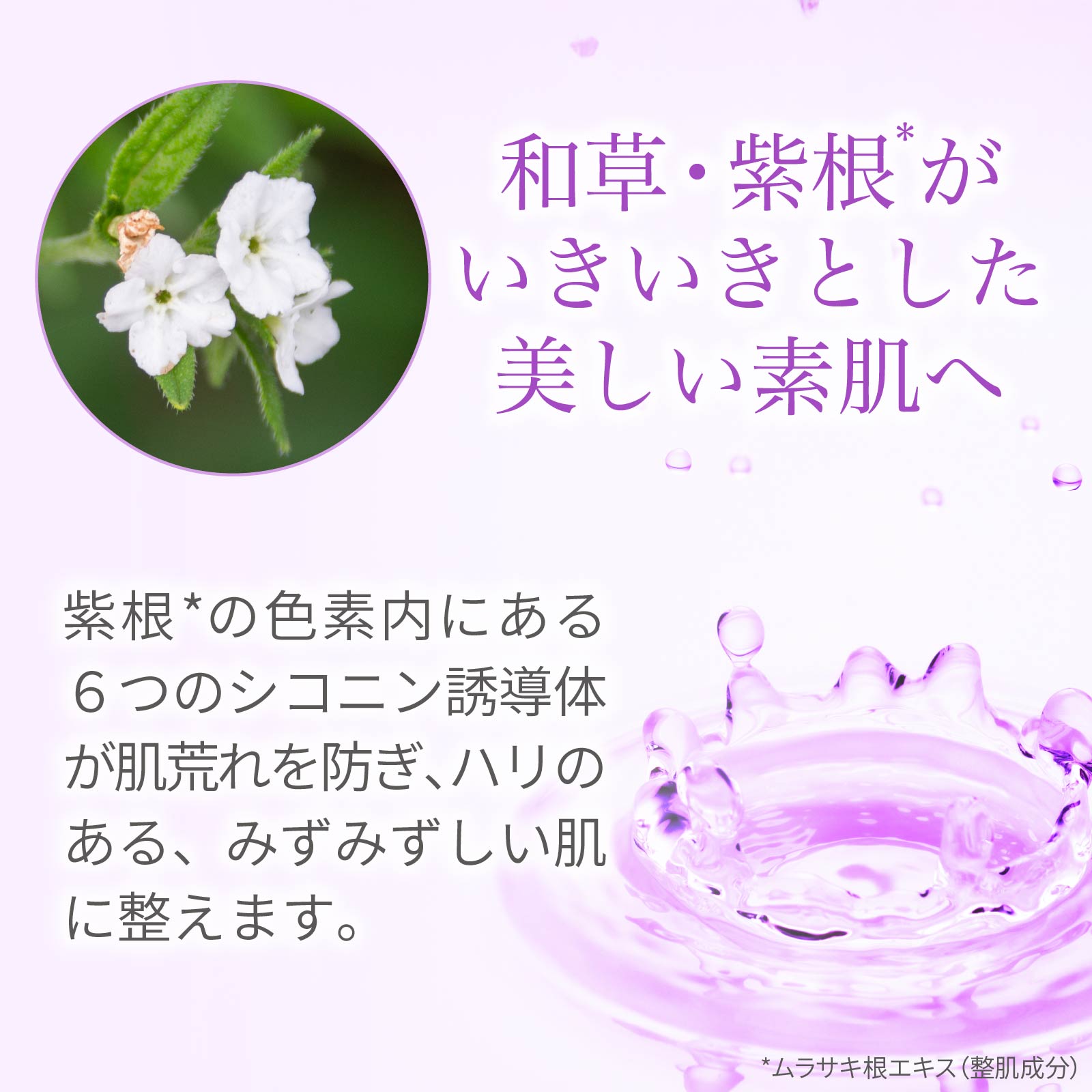 お試しセット 紫根化粧品 トライアルセット サ...の詳細画像2