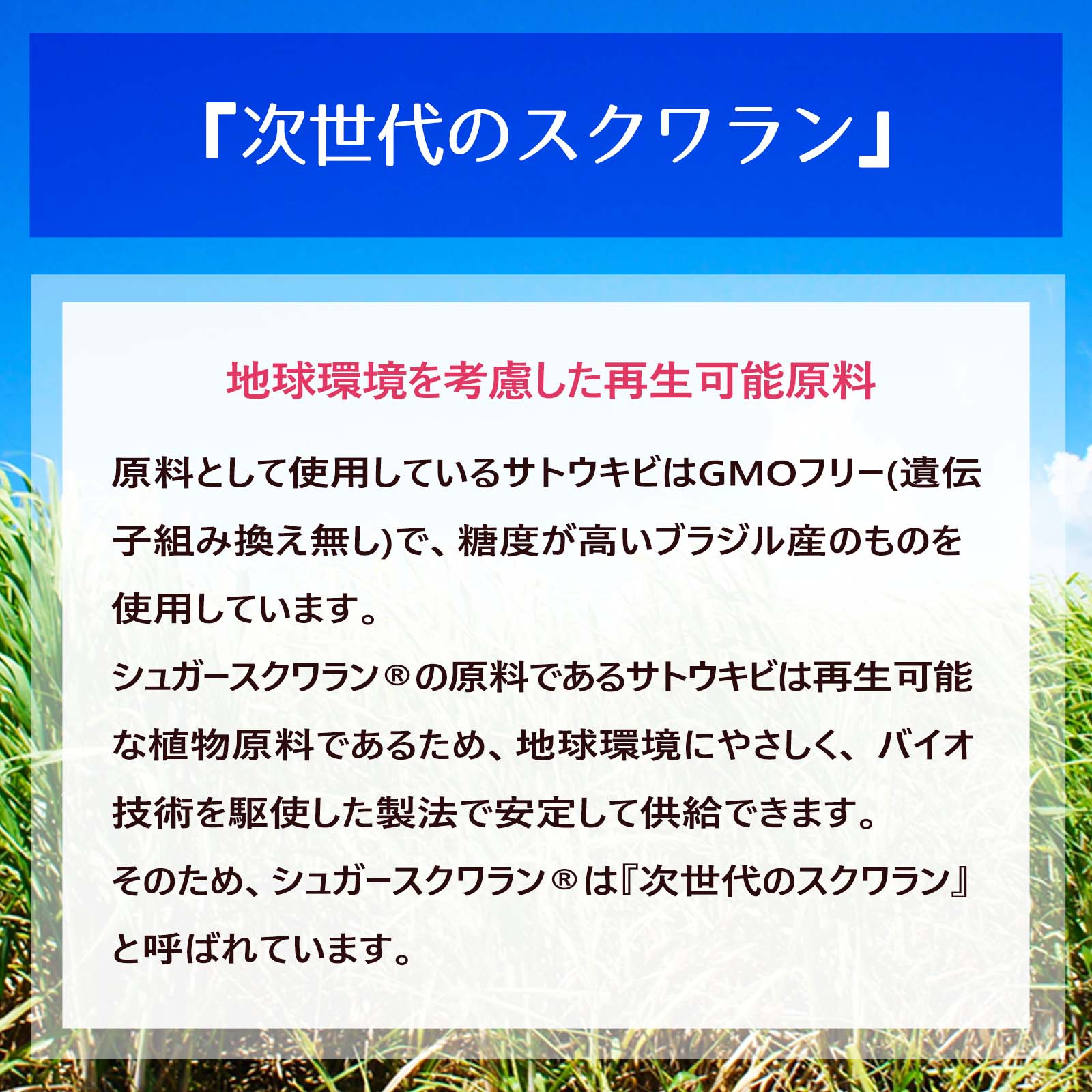 サトウキビ由来 シュガースクワラン 500mL 遮光プラボトル キャリアオイル 美容オイル  植物性 無添加 化粧品グレード マッサージオイル フェイスオイルの画像