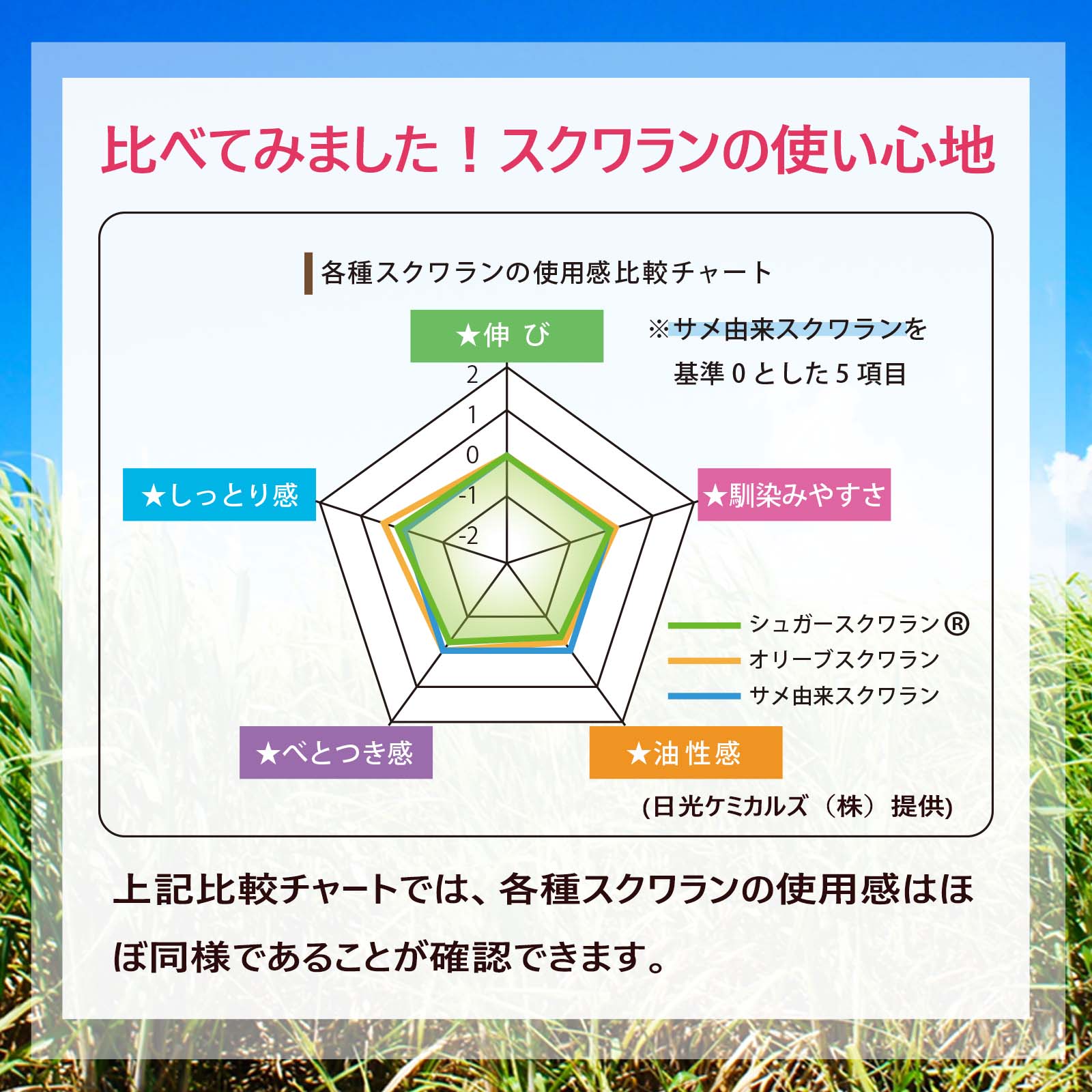 サトウキビ由来 シュガースクワラン 500mL 遮光プラボトル キャリアオイル 美容オイル  植物性 無添加 化粧品グレード マッサージオイル フェイスオイルの画像