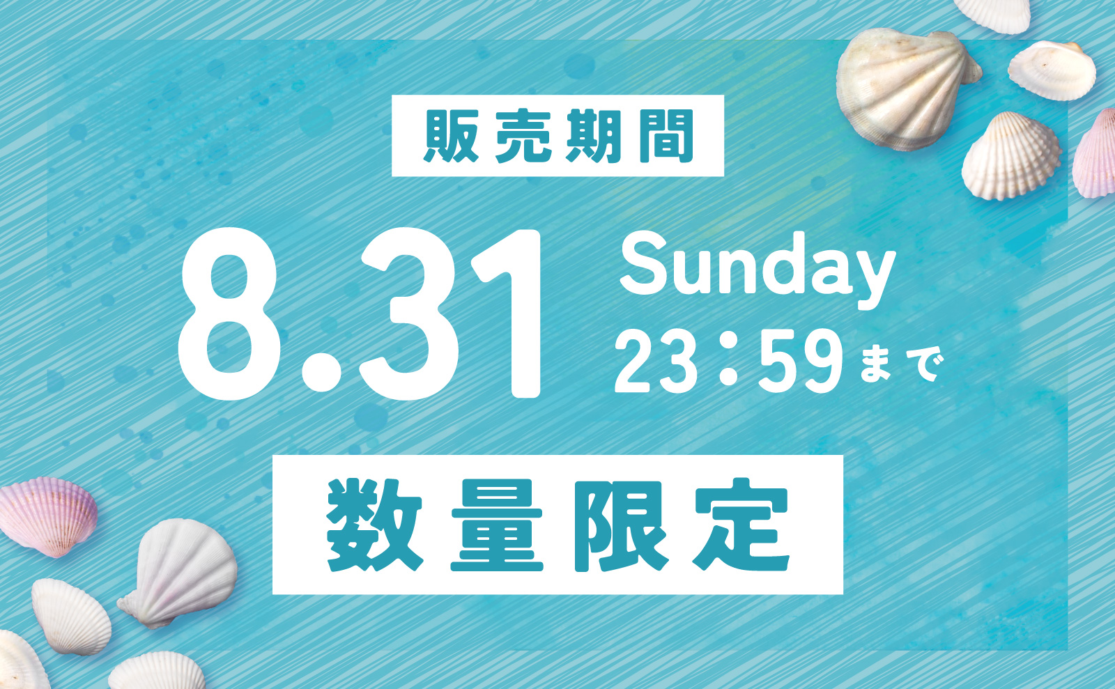 販売期間