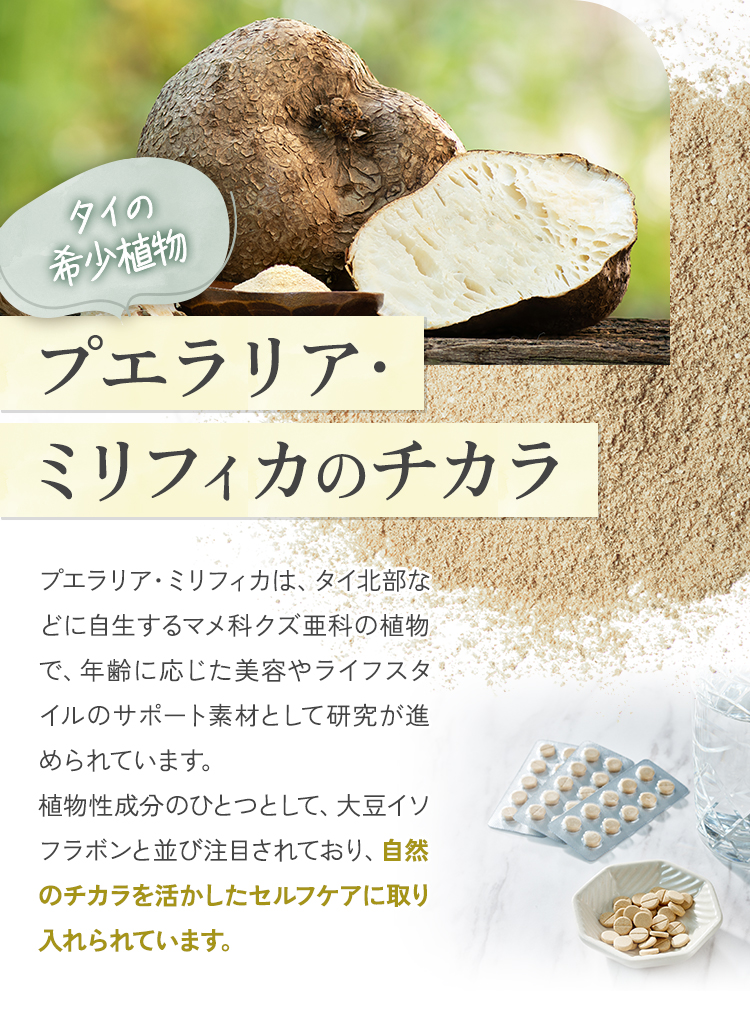 植物性エストロゲン プエラリアサプリ 【マチュレモア240粒】純天然