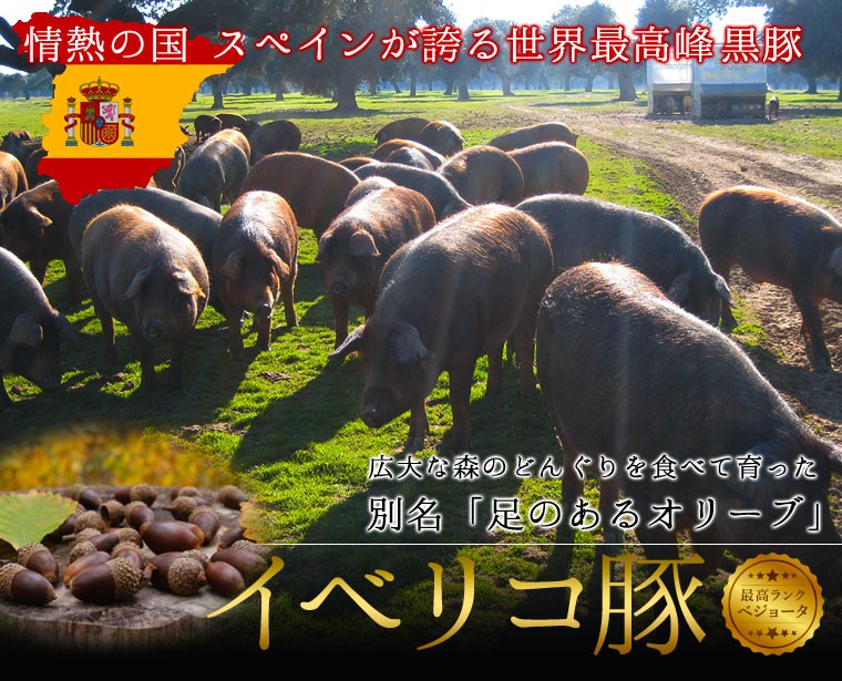 情熱の国　スペインが誇る世界最高峰黒豚