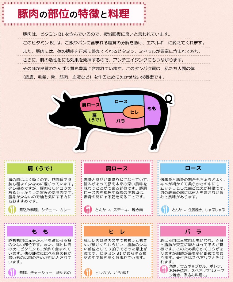 【豚肉の部位の特長と料理】豚肉は、ビタミンB1を含んでいるので、疲労回復に良いと言われています。このビタミンB1は、ご飯やパンに含まれる糖質の分解を助け、エネルギーに変えてくれます。また、豚肉には、体の機能を正常に整えてくれるビタミン、ミネラルが豊富に含まれており、さらに、肌の活性化にも効果を発揮するので、アンチエイジングにもつながります。そのほか良質のたんぱく質も豊富に含まれています。このタンパク質は、私たち人間の体（皮膚、毛髪、骨、筋肉、血液など）を作るために欠かせない栄養素です。