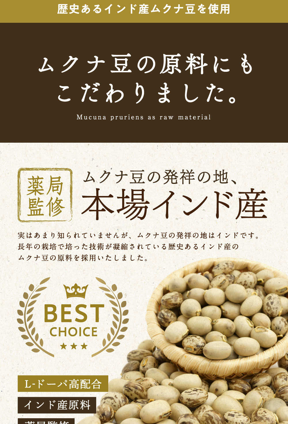 ムクナ豆　生　約2kｇ mukunamame-hassyou.jpg