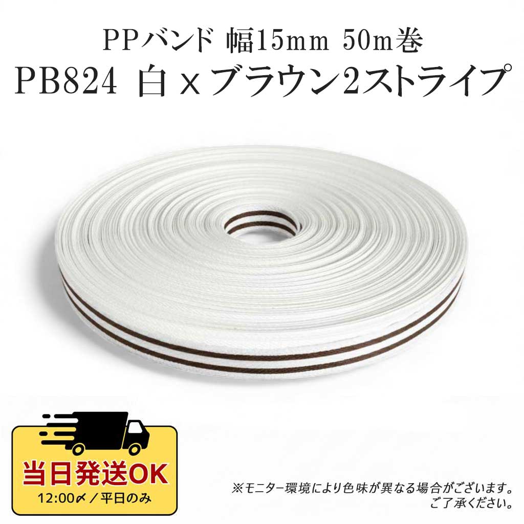 PPバンド 手芸 50m巻 幅15mm 手芸用 PPテープ プラカゴテープ かご