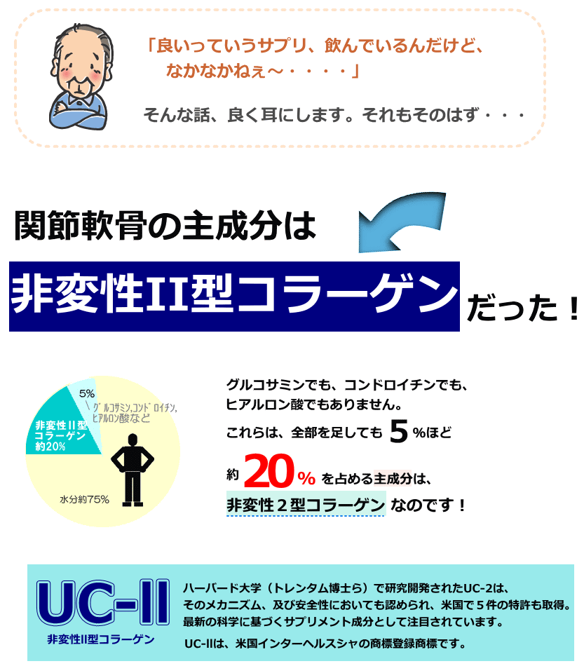 Un&#39;sコラーゲンⅡ型 粘膜を強くする！サプリ Un'sⅡ型コラーゲンペプチド｜通販