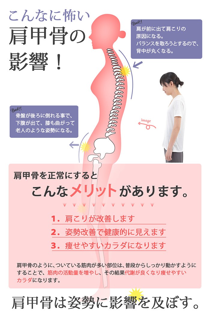 姿勢矯正サポーター 猫背矯正ベルト 姿勢改善 首 肩 背中 腰 定形外郵便で送料無料 :stc1708su01:ナチュレガーデンヤフーショップ -  通販 - Yahoo!ショッピング