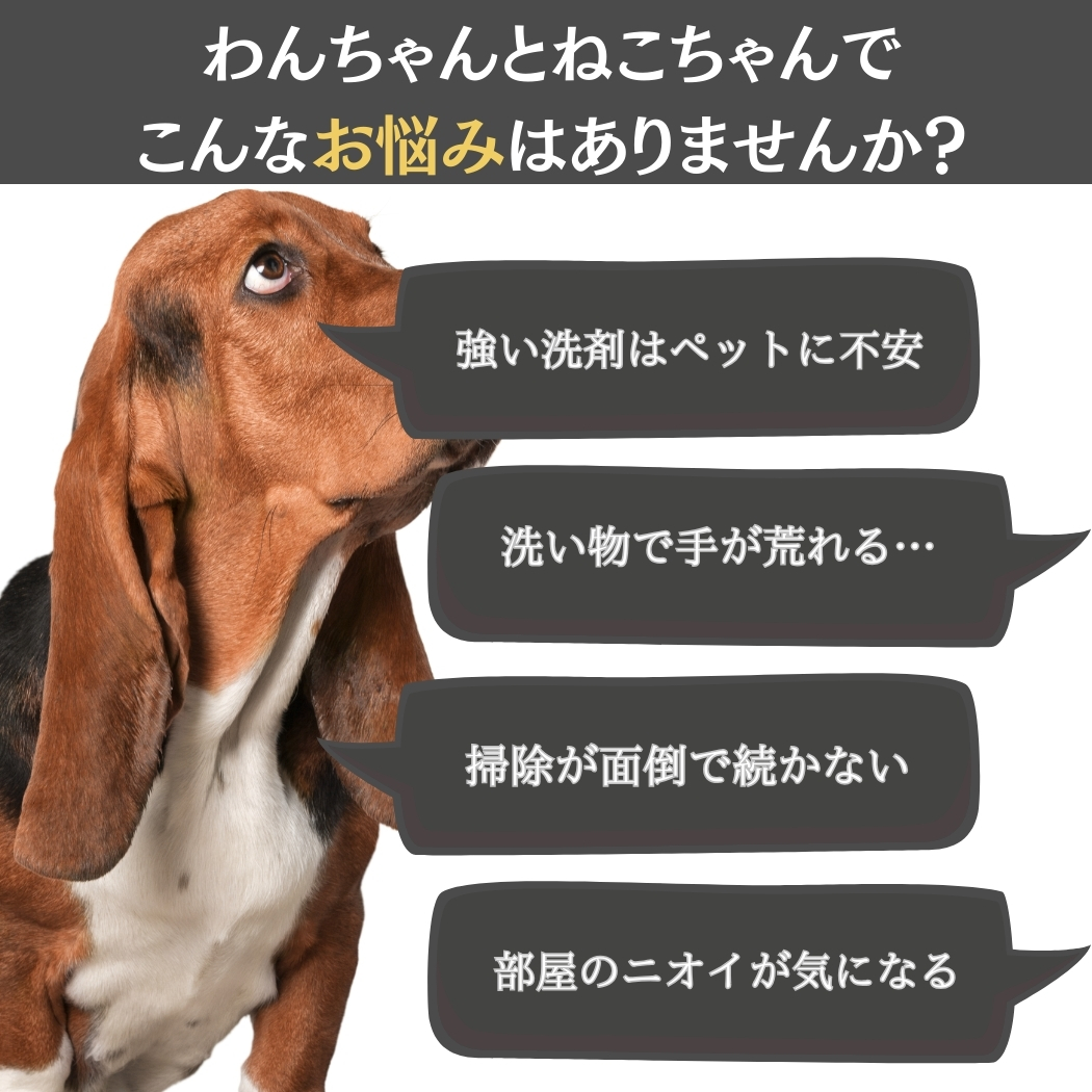 オレンジX 250ml ×2個セット │ 天然...の詳細画像1