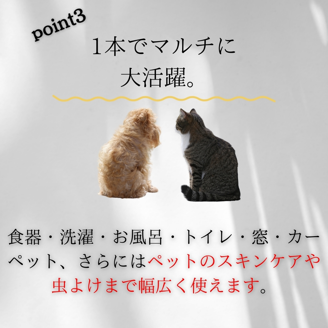 オレンジX 250ml ×2個セット │ 天然...の詳細画像5