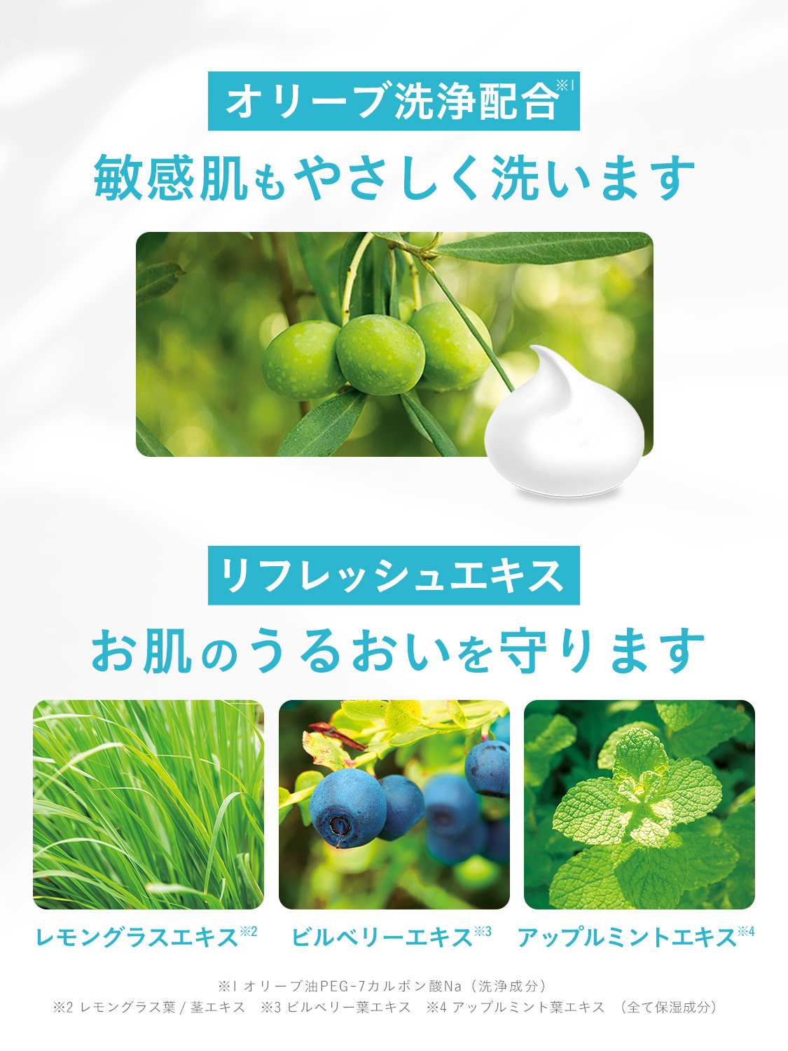 ダイアンボタニカル ボディソープ リフレッシュ＆モイスト 詰め替え シトラスサボンの香り