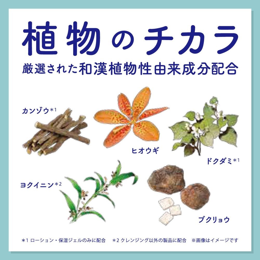 ネイチャーラボYahoo公式:アクネスラボ 薬用 ニキビ 専用 スポッツクリーム パッチ付 7g 【医薬部外品】・イメージ写真6