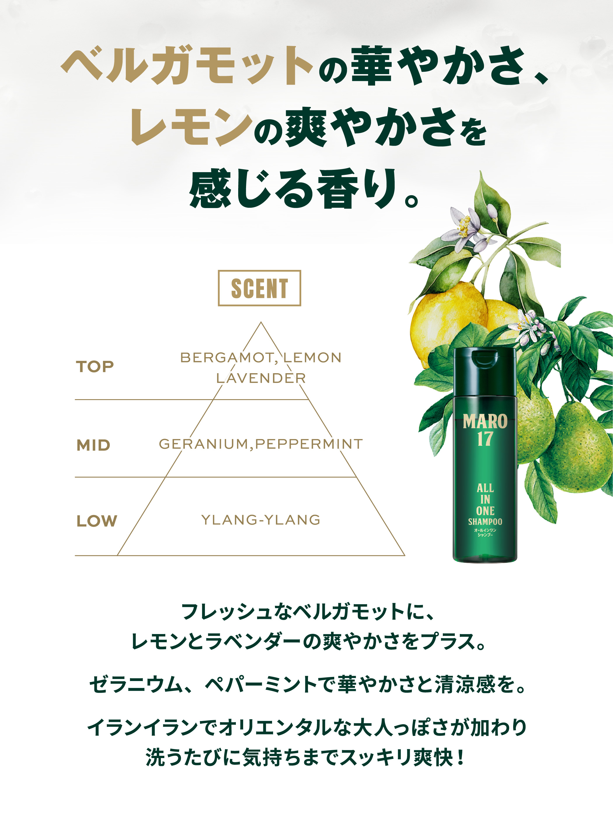 試着のみ美品 マーク&ロナ オールインワン 36 黒 金ボタン スカル ドクロ 試着のみ美品 マーク&ロナ オールインワン 36 黒 金ボタン