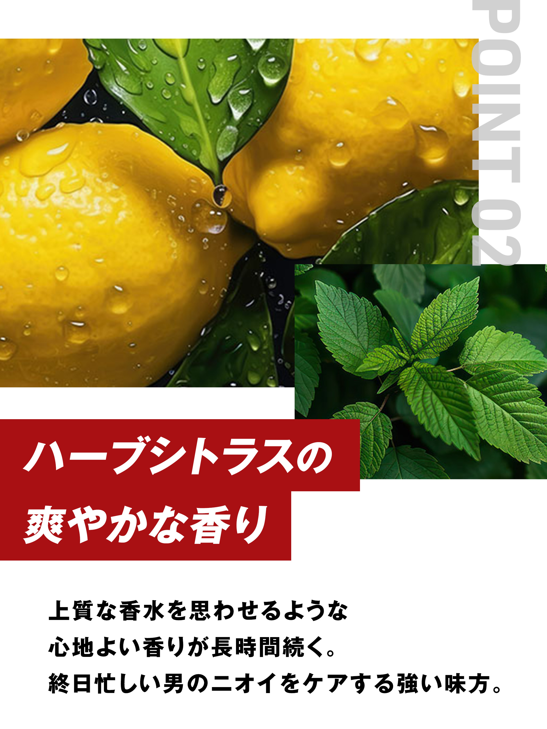 ネイチャーラボYahoo公式：MARO 3Dボリュームアップ シャンプー EX 460ml・イメージ写真6