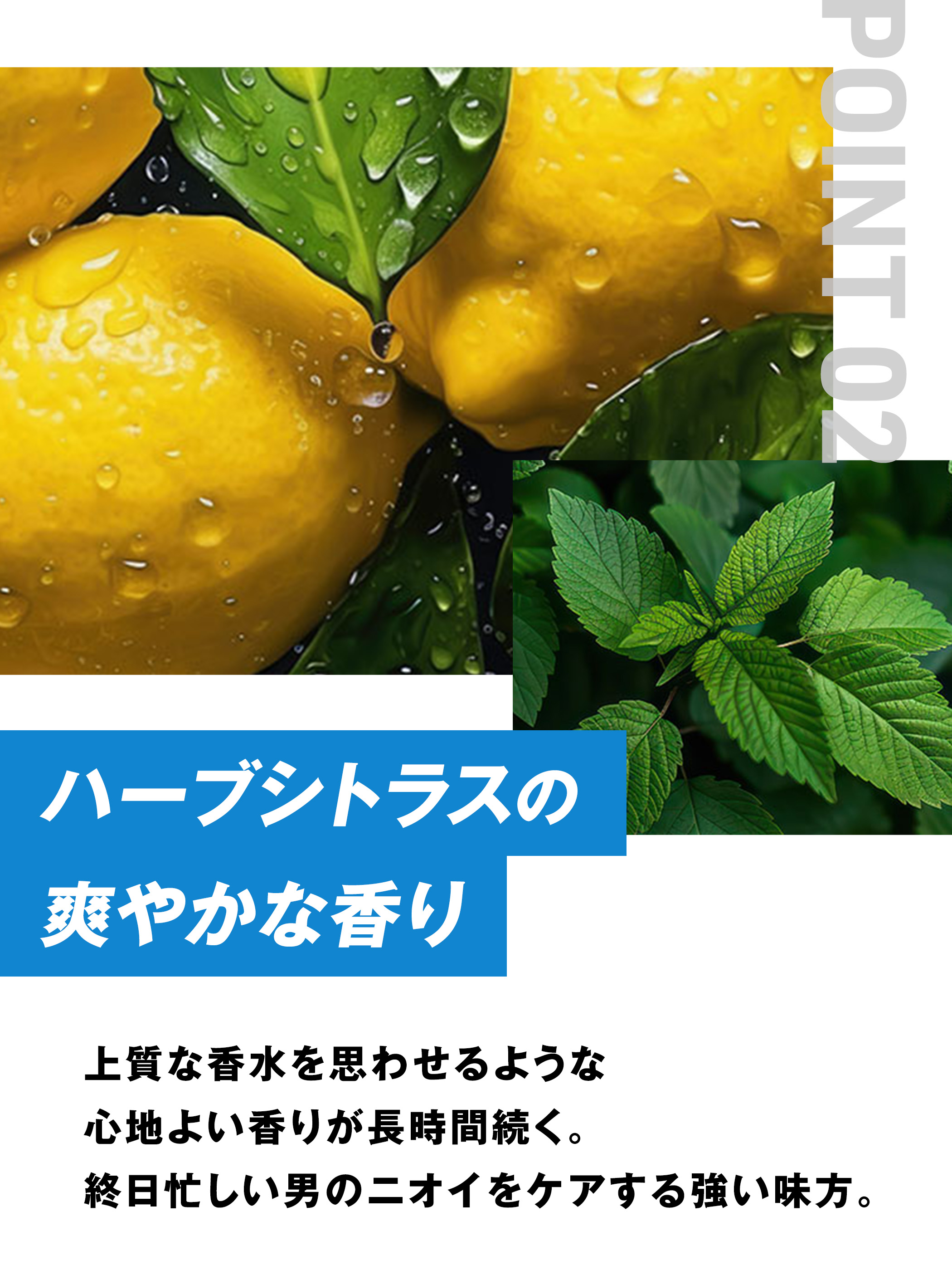 ネイチャーラボ楽天公式：MARO 全身用 ボディソープ クール 400ml・イメージ写真8