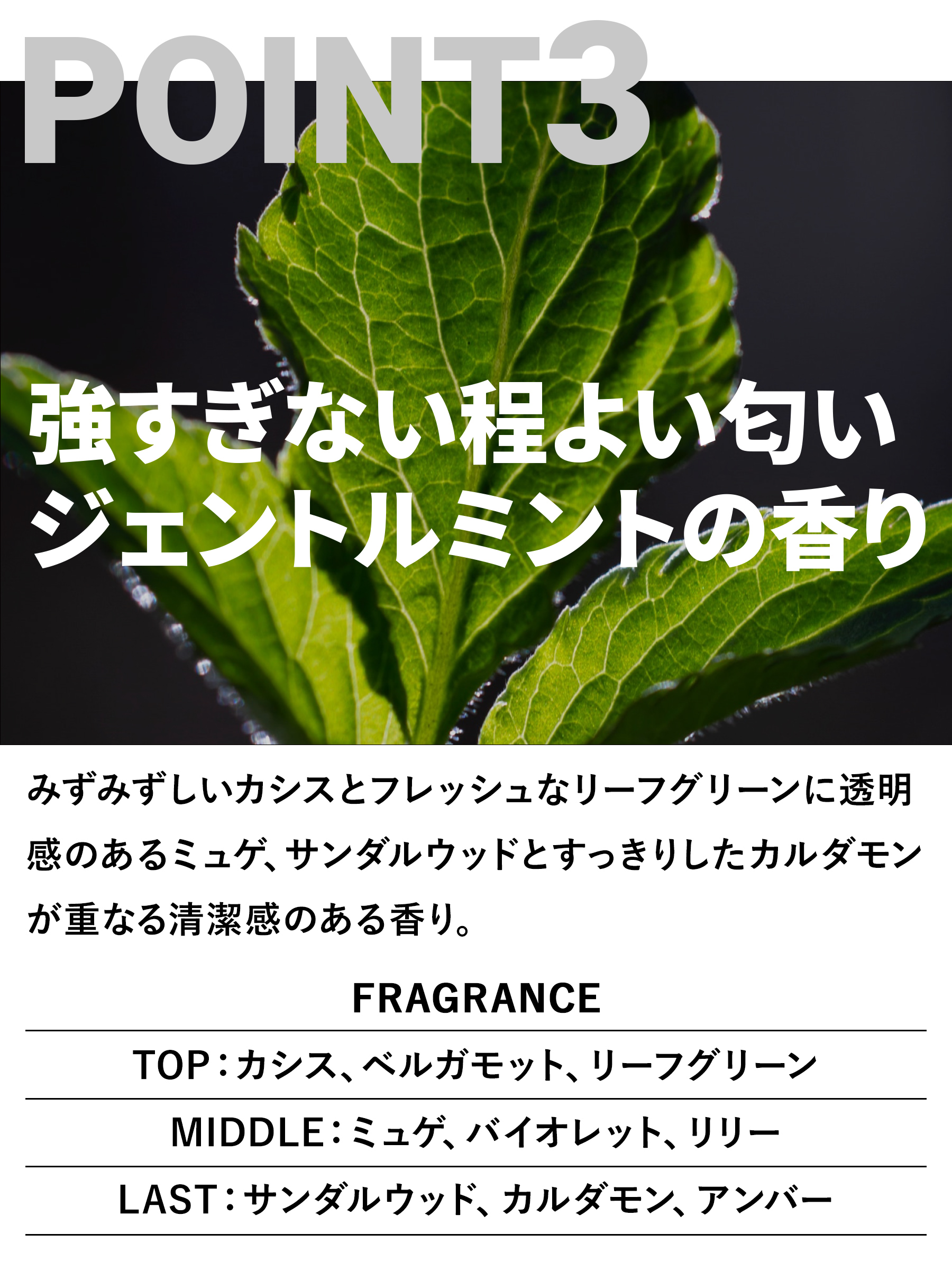 ネイチャーラボYahoo公式：MARO 3Dボリュームアップ シャンプー EX 460ml