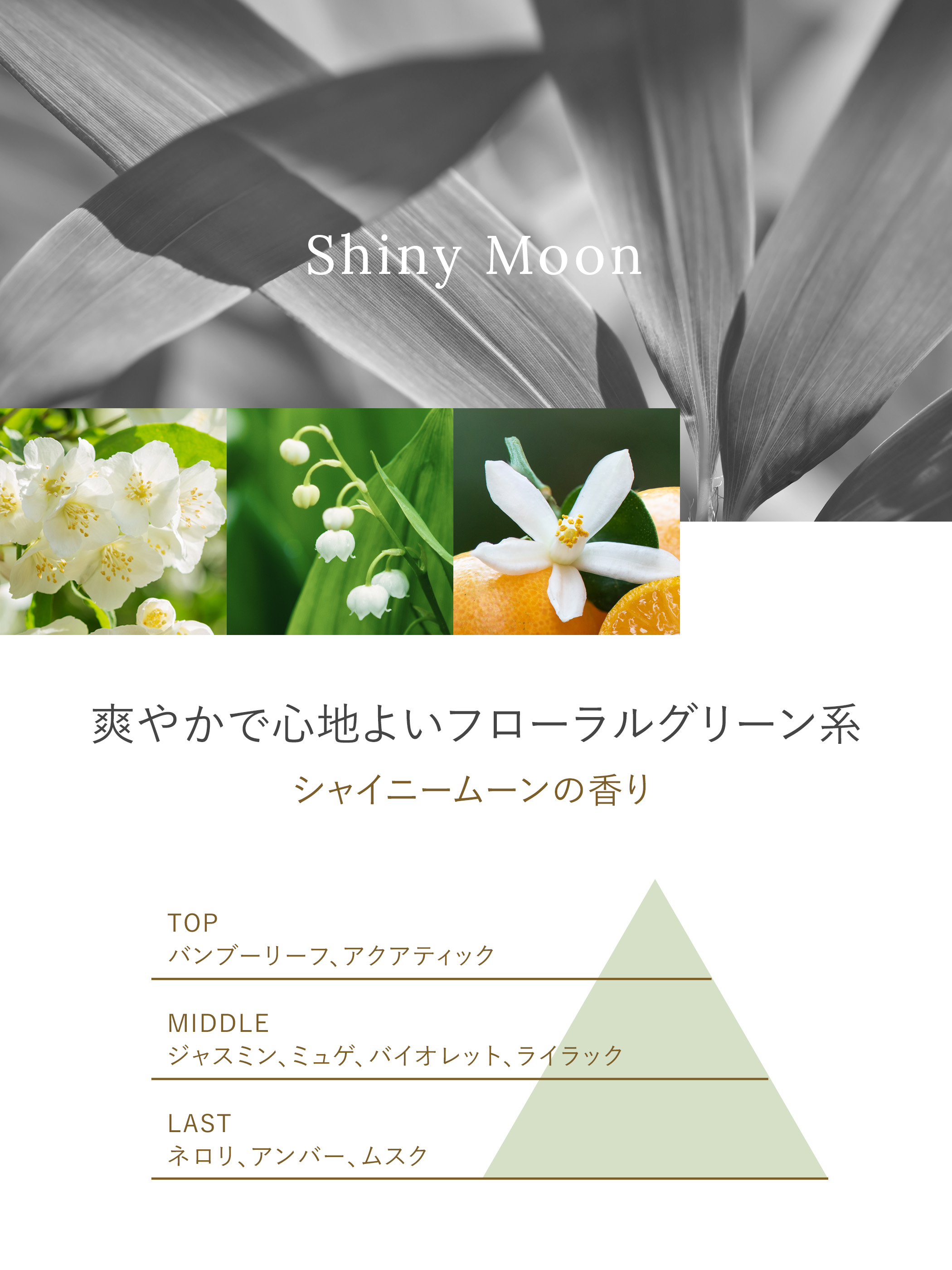 ネイチャーラボYahoo公式：ラボン 部屋用 芳香剤 シャイニームーン 150g