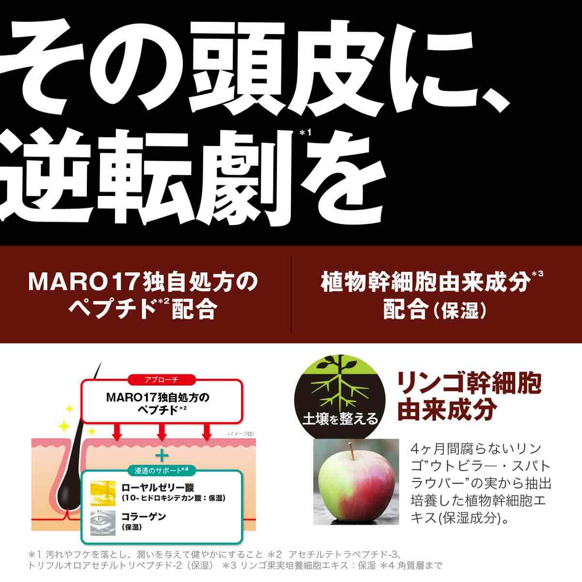 MARO（マーロ） コンディショナー MARO17 マーロ17 スカルプ