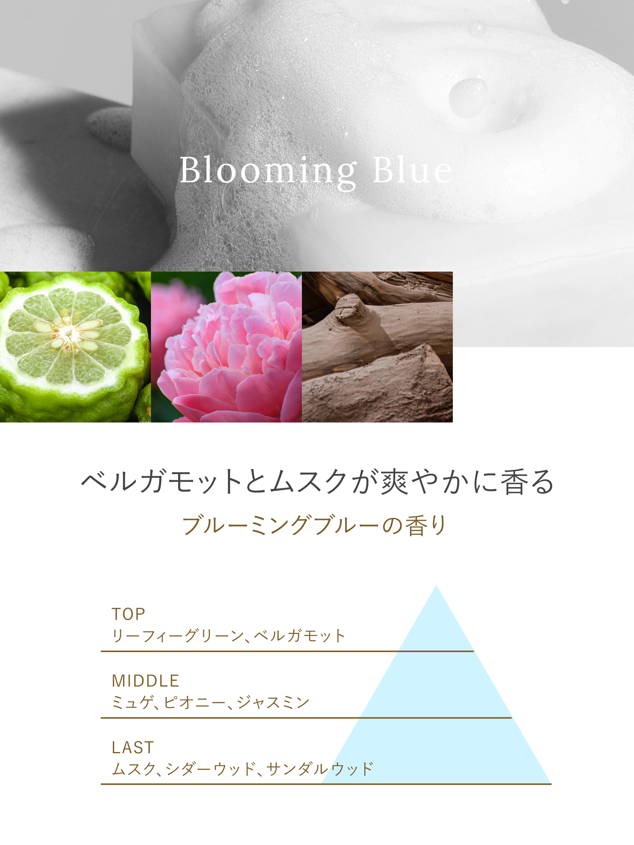 ネイチャーラボYahoo公式：ラボン 部屋用 芳香剤 ブルーミングブルー［ホワイトムスクの香り］ 150g