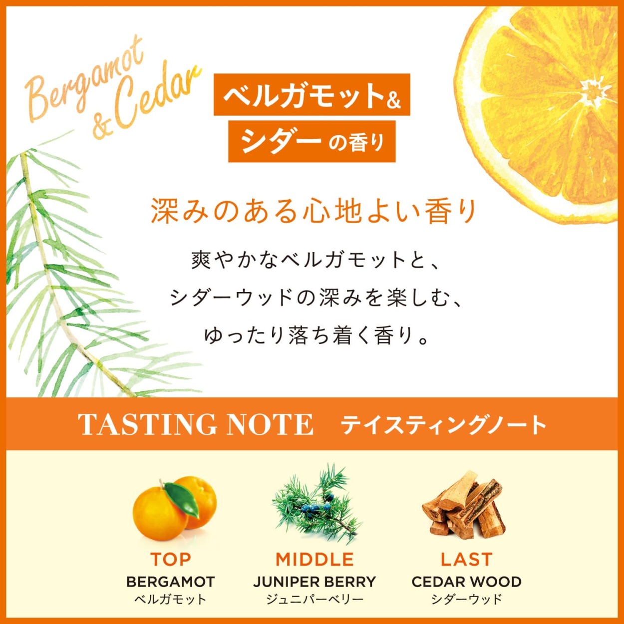 芳香剤 ランドリン ボタニカル 加湿器用フレグランスウォーター ベルガモット＆シダーの香り 300ml 本体 オーガニック 芳香剤 部屋 ニオイ  フレグランス :4582469507796:ネイチャーラボ !店 通販 