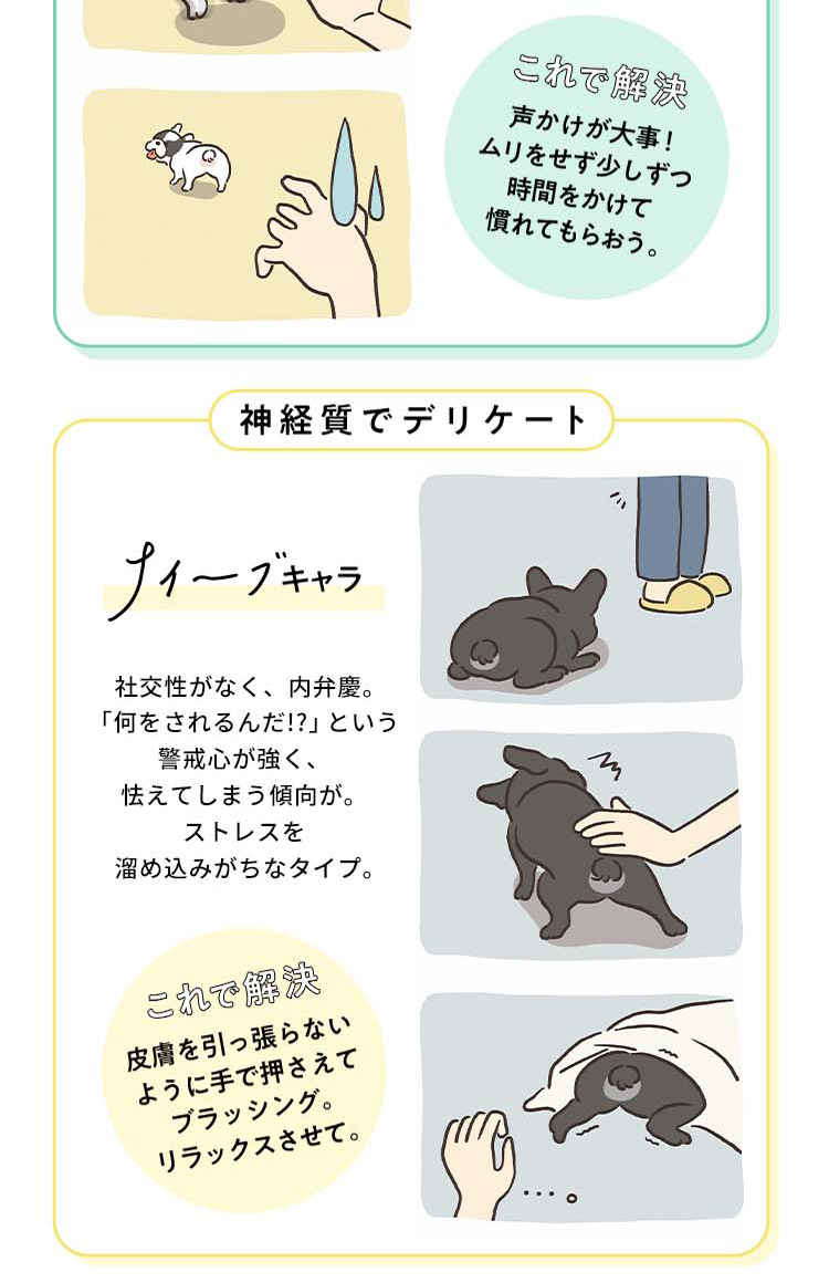 超人気新品 ペットライブラリー 犬 お手入れ Wetbrush アルティメットグルーマー ペット用品 Shipsctc Org